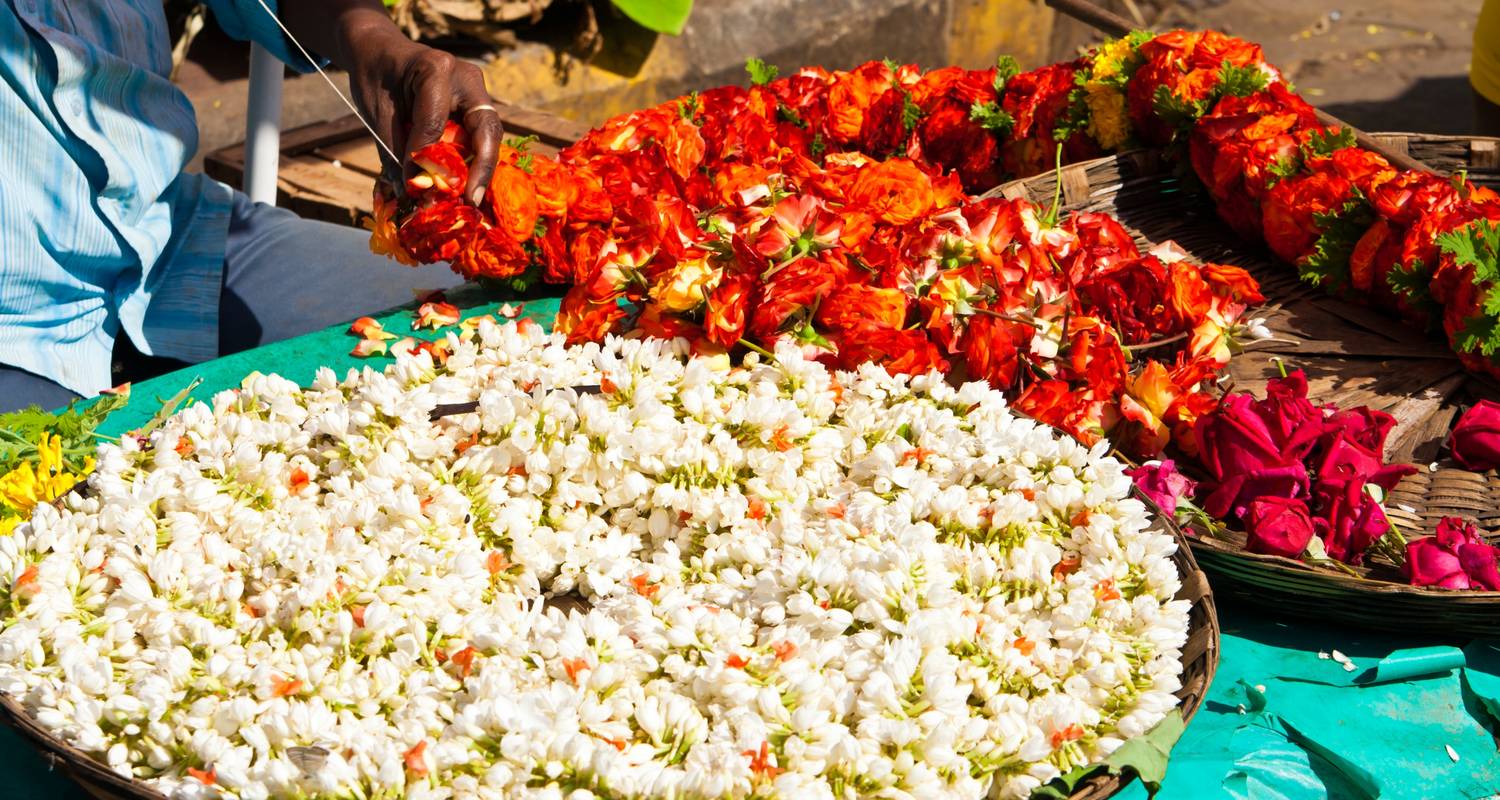 Magnificent South India Temple Trail