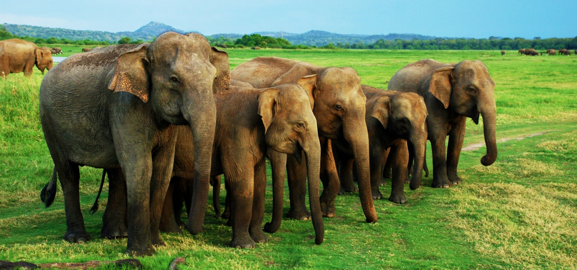 Mesmerizing Kerala Backwaters