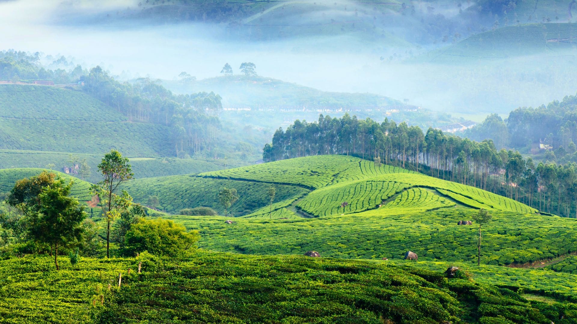Munnar