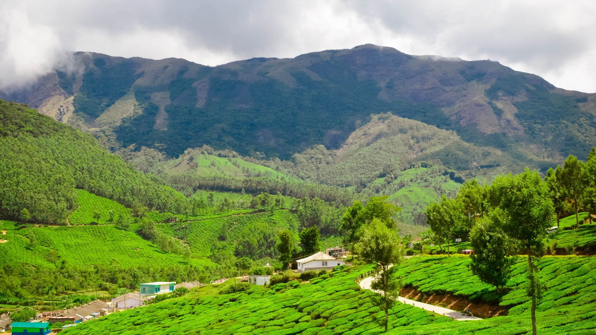 Munnar