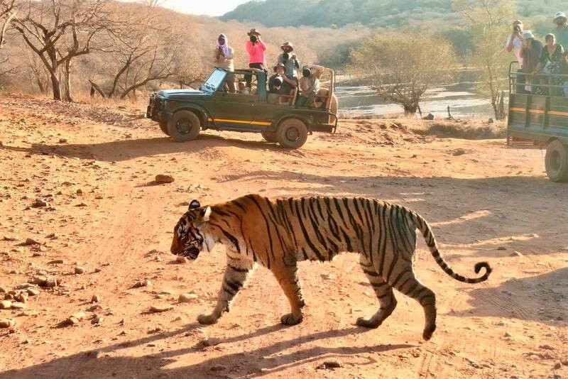Ranthambore