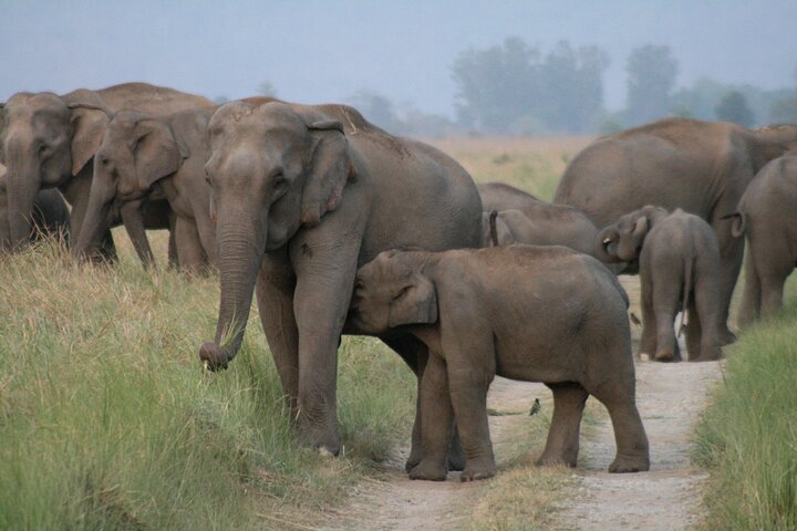 Wildlife and Eco-Tourism