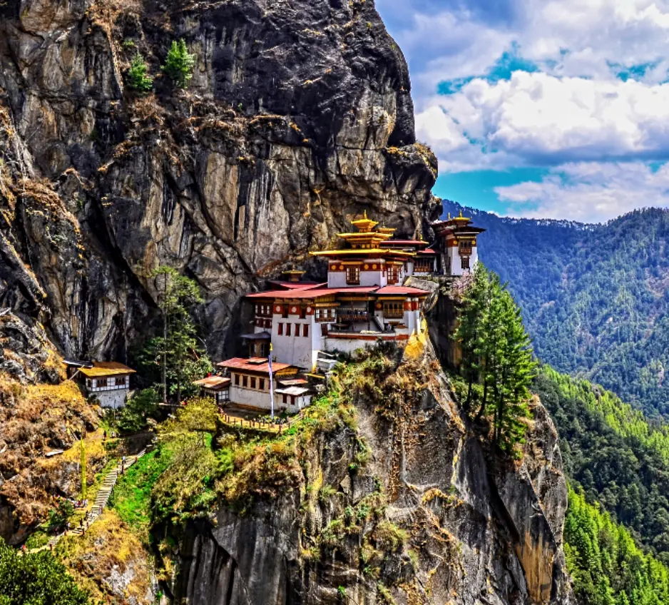 Himalayan